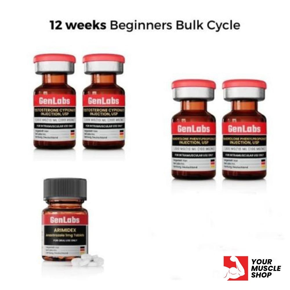 12 Weeks Beginners Bulk Cycle