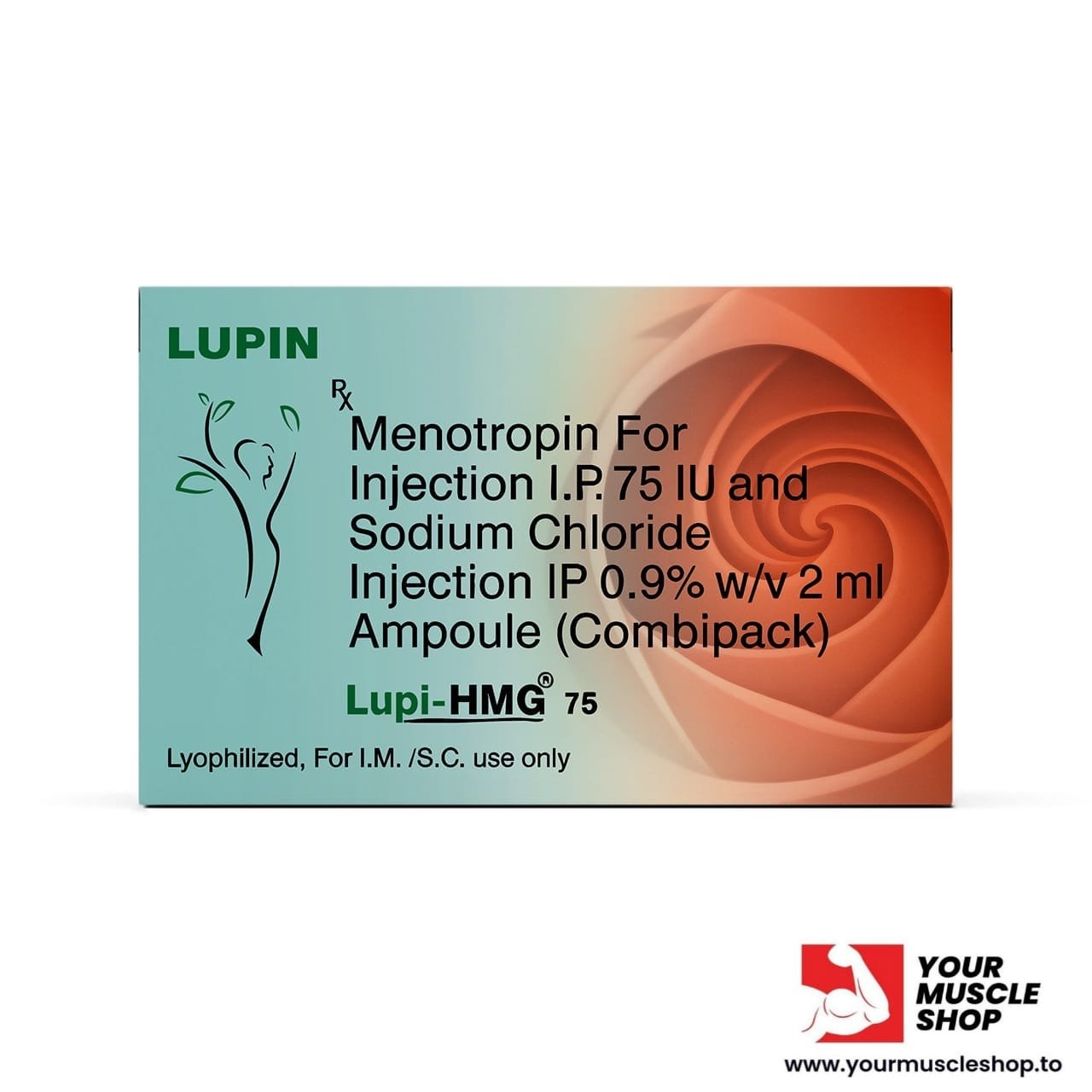 HMG – ( MENOTROPIN FOR INJECTION IP 75 IU AND SODIUM CHLORIDE INJECTION IP 0.9% W/V 2ML AMPOULE ) – LUPIN - Image 3
