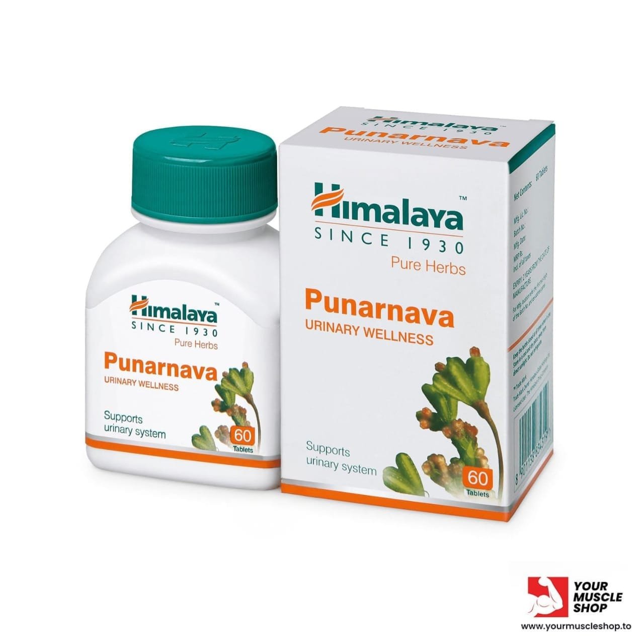 PUNARNAVA – (URINARY WELLNESS) – 60 TABLETS – HIMALAYA