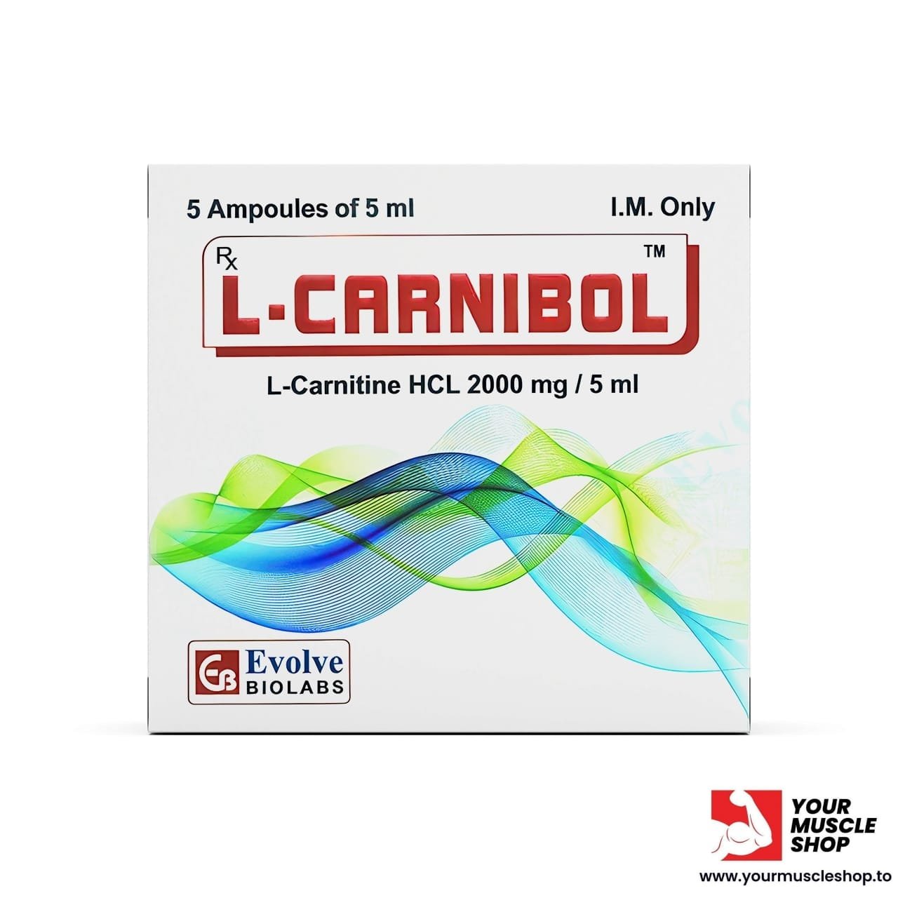 L-CARNIBOL ( L-CARNITINE HCL 2000MG / 5ML ) – 5 AMPOULES BOX – EVOLVO BIO LABS - Image 2
